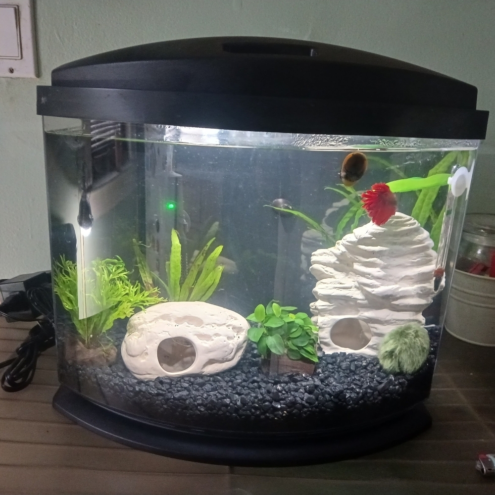 Aqueon Black 5 Gallon LED MiniBow SmartClean Kit